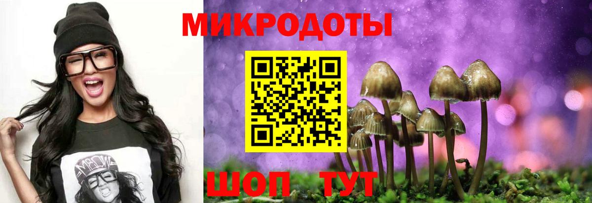 Псилоцибиновые грибы мицелий Воронеж